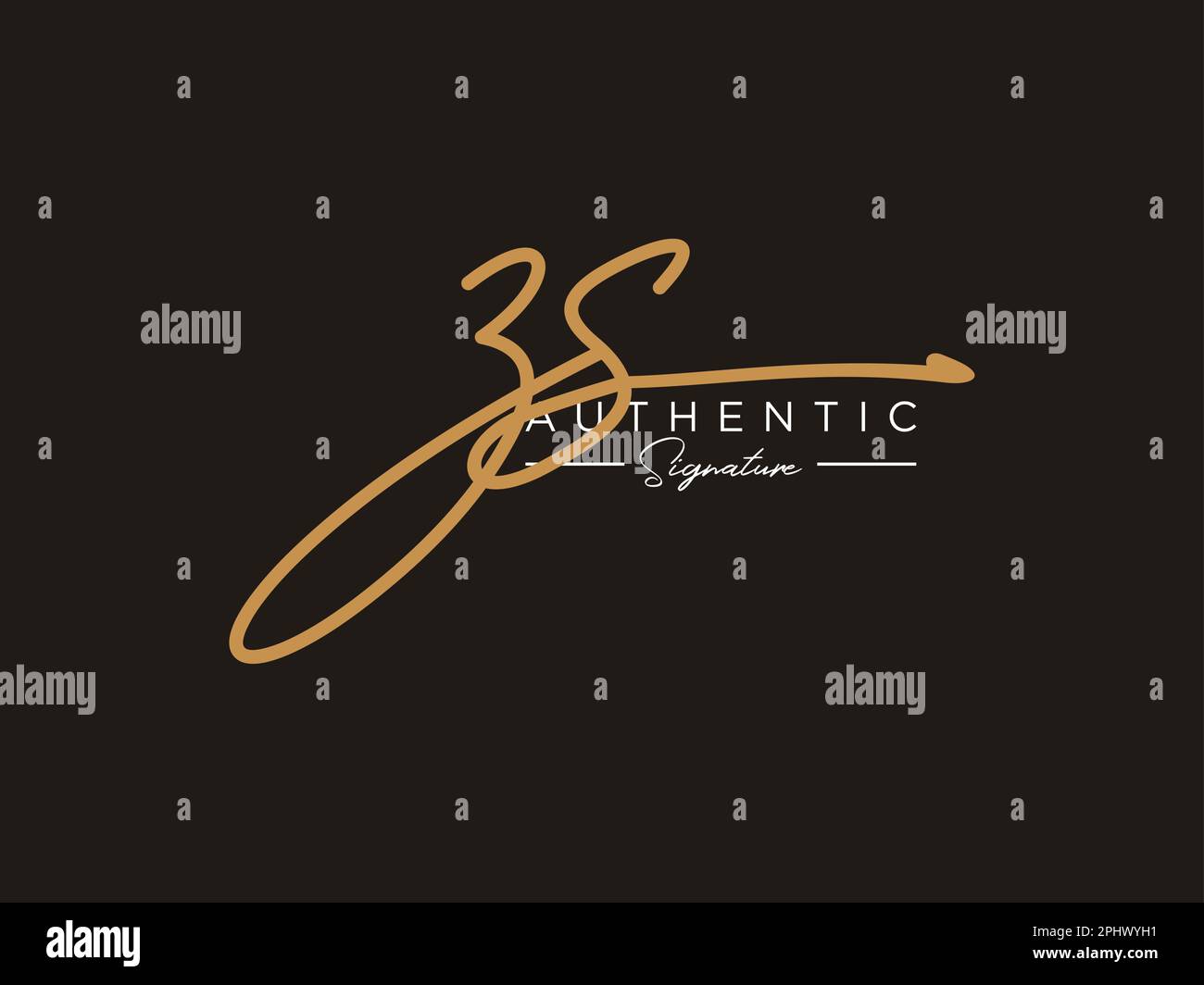 Letter ZS Signature Logo Template Vector Stock Vector Image & Art - Alamy