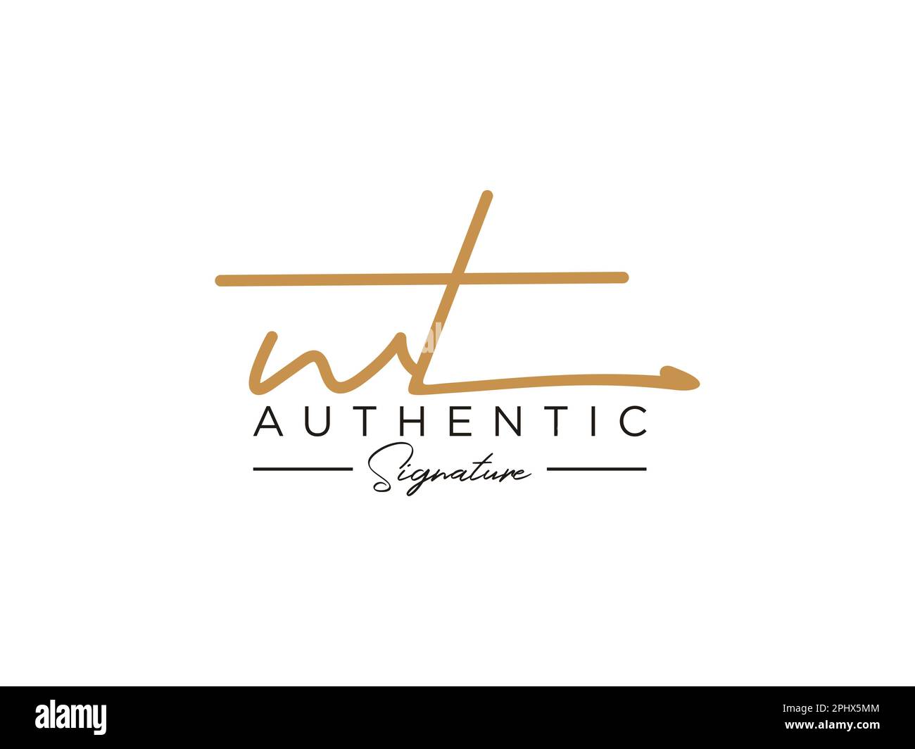 Letter WT Signature Logo Template Vector Stock Vector