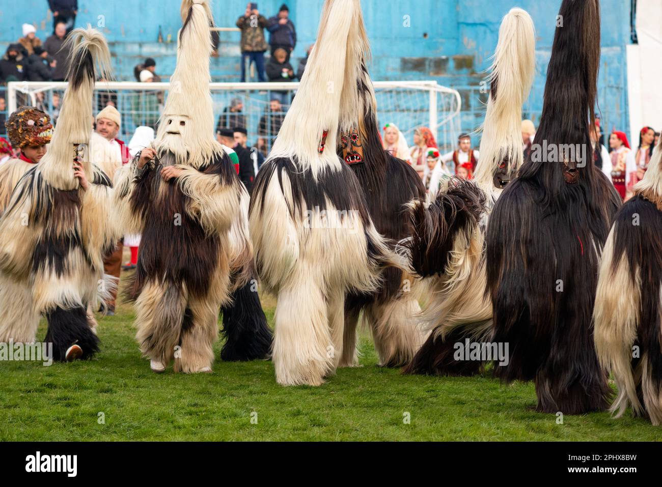 Kukeri Babugeri from Southwest Bulgaria with goat hair costumes at the annual Simitlia winter festival in Simitli, Blagoevgrad County, Bulgaria, EU Stock Photo