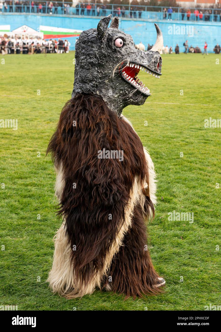 Mummer with weird monster mask and goat hair outfit at the annual Simitlia winter festival in Simitli, Bulgaria, Eastern Europe, Balkans, EU Stock Photo