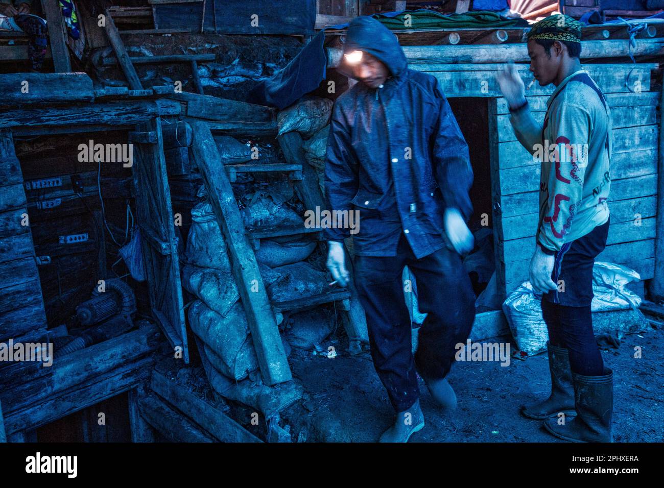 Gold in the java jungle hi-res stock photography and images - Alamy