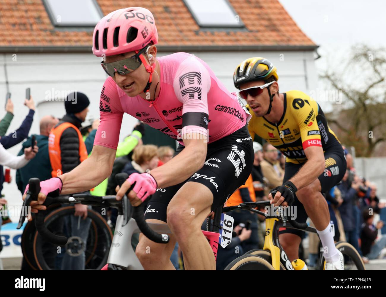 Waregem, Belgium. 29th Mar, 2023. US Neilson Powless of EF Education-EasyPost pictured in action during the men elite race of the 'Dwars Door Vlaanderen' cycling race, 183, 5 km from Roeselare to Waregem, Wednesday 29 March 2023. BELGA PHOTO DAVID PINTENS Credit: Belga News Agency/Alamy Live News Stock Photo