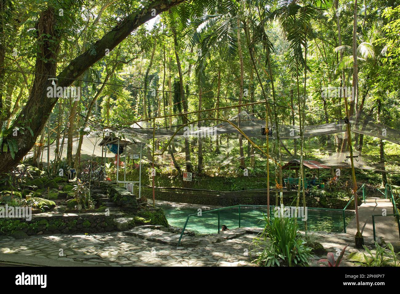 The idyllic Ardent Hot Springs in Camiguin, Philippines, surrounded by rainforest Stock Photo