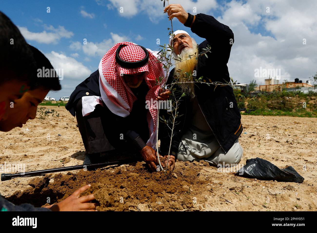 Palestinians plant olive trees as they mark 'Land Day', an annual  commemoration of six Arab citizens of Israel who were killed by Israeli  security forces during demonstrations over land confiscations in 1976,