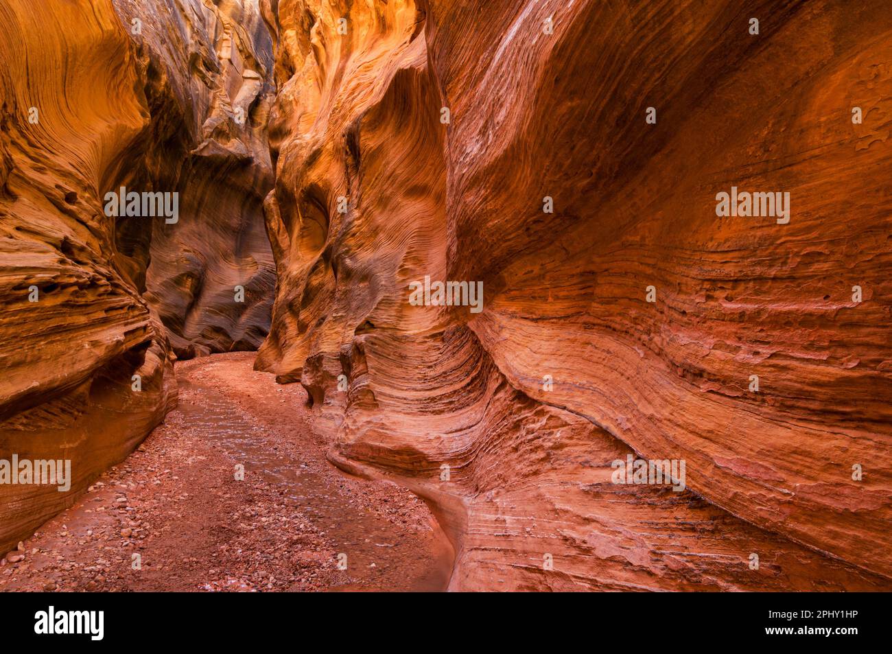 Grand Staircase Escalante Eroded entrada sandstone slot canyon  Willis creek Narrows Grand Staircase-Escalante National Monument Kane County Utah USA Stock Photo