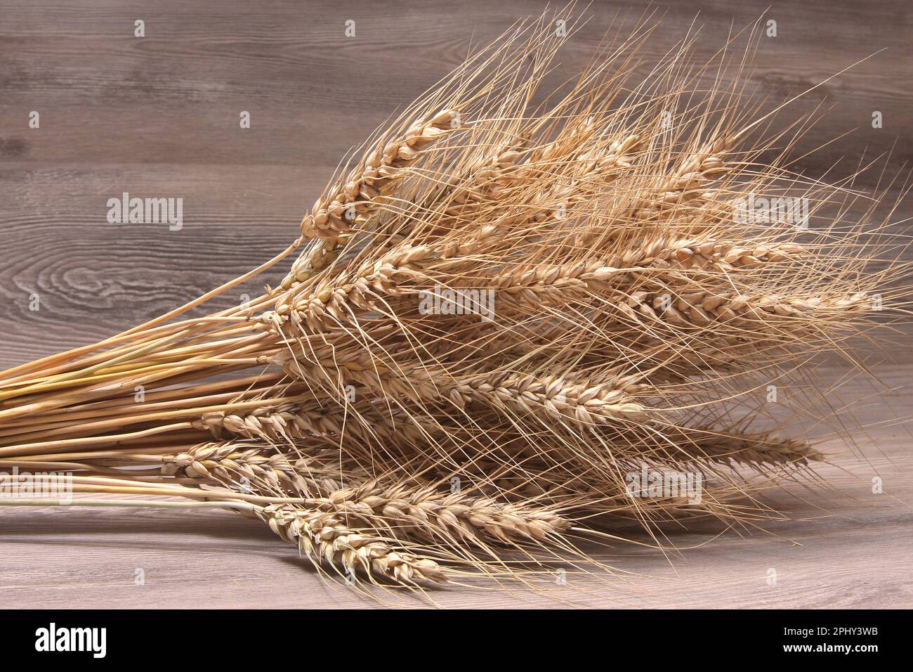bundel of cone wheat Stock Photo