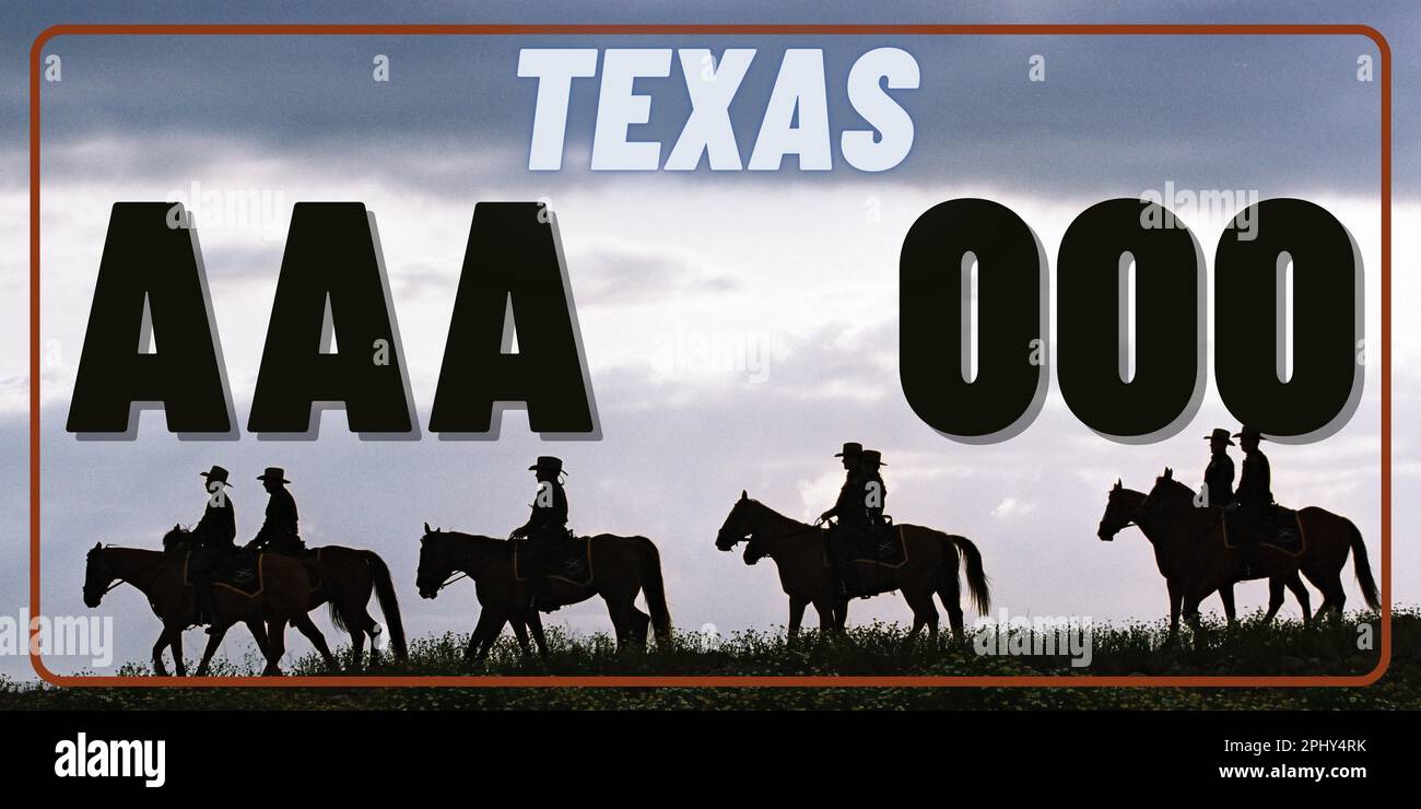 Vehicle license plates marking in Texas in United States of America