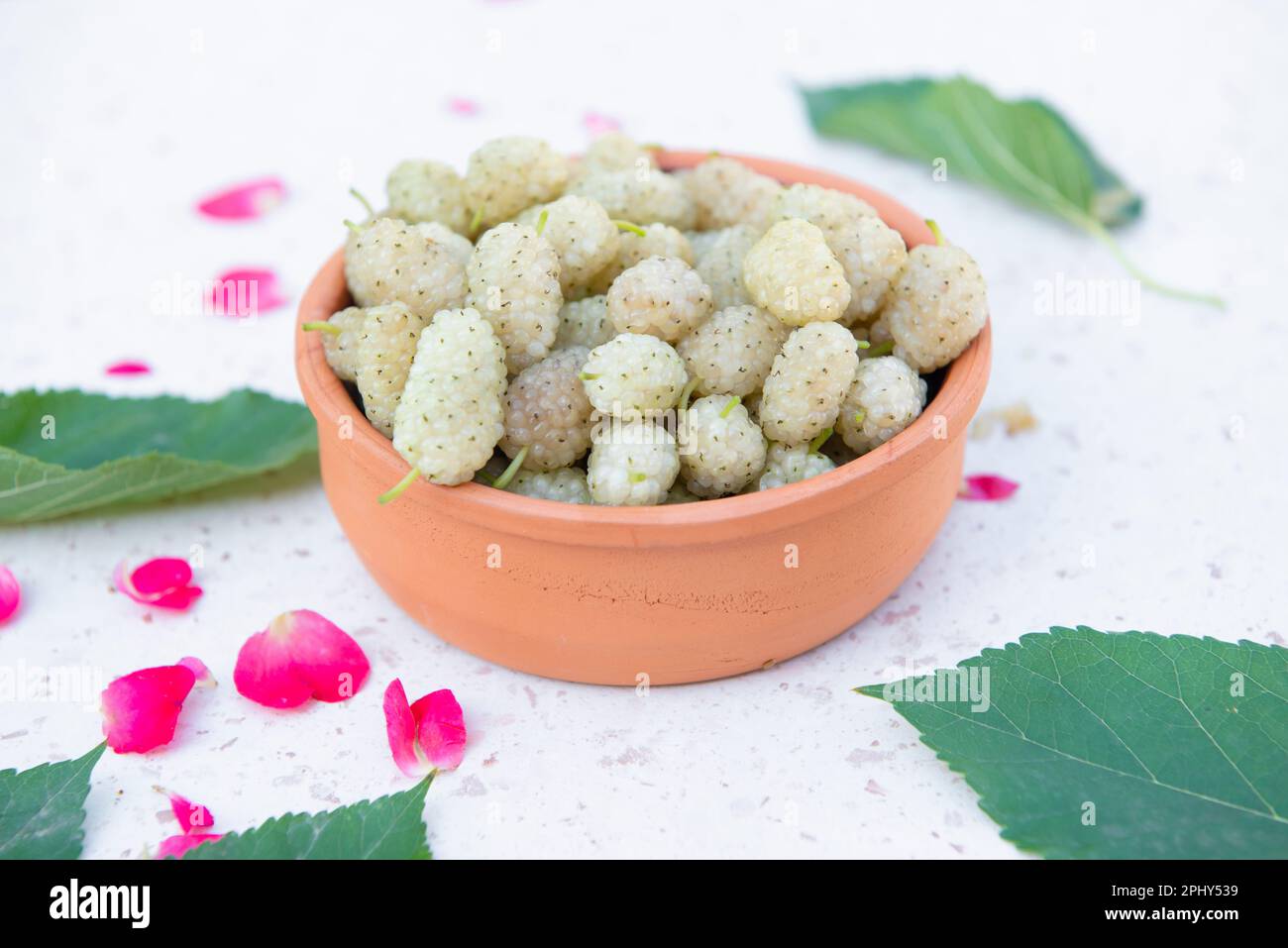 One brown bowl with ripe berries lying on white table with green leaves and pink petals. Stock Photo