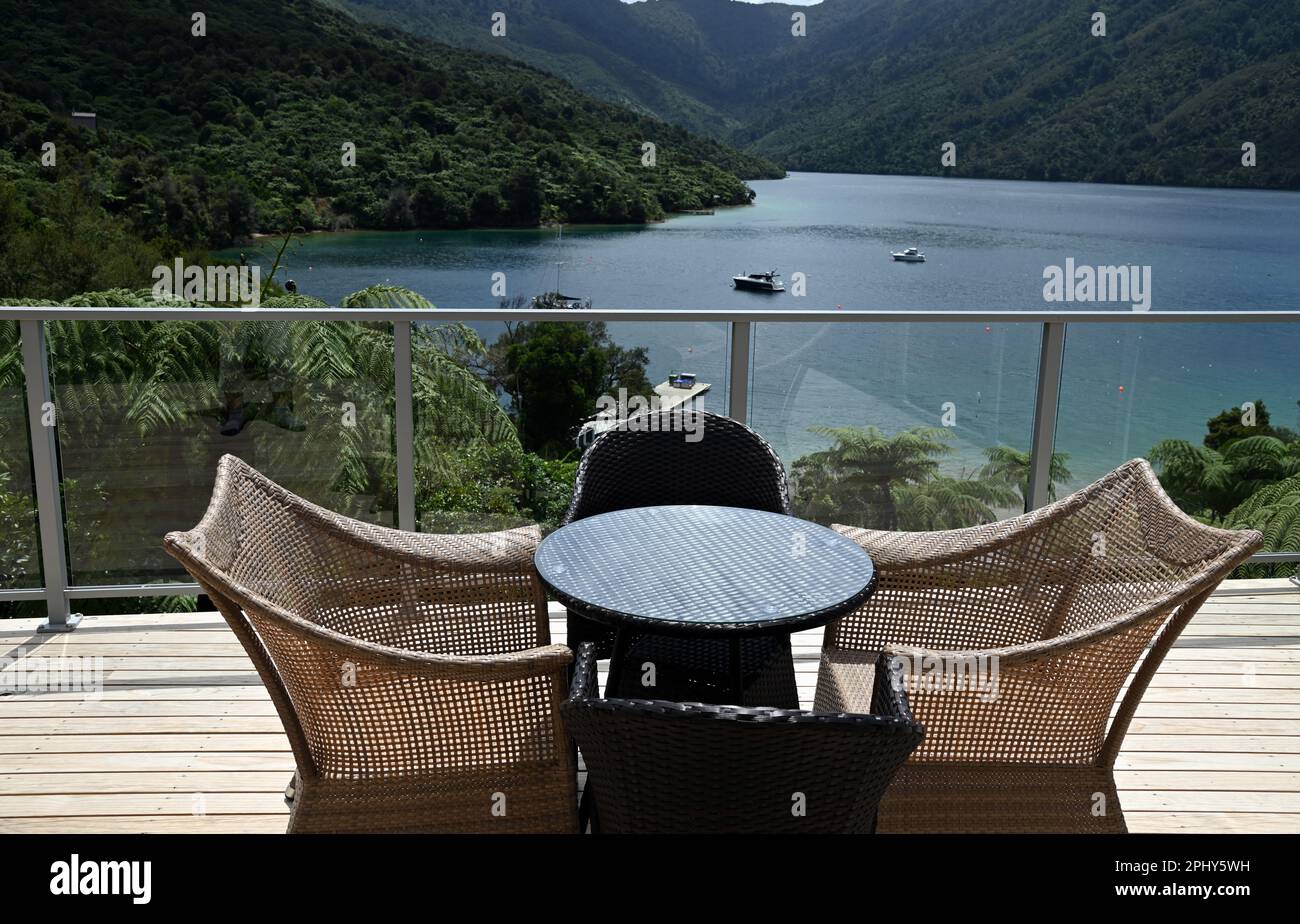 Punga hires stock photography and images Alamy