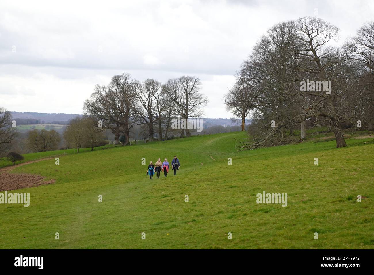 Mixed generational family on country walk, Sussex, United Kingdom Stock Photo