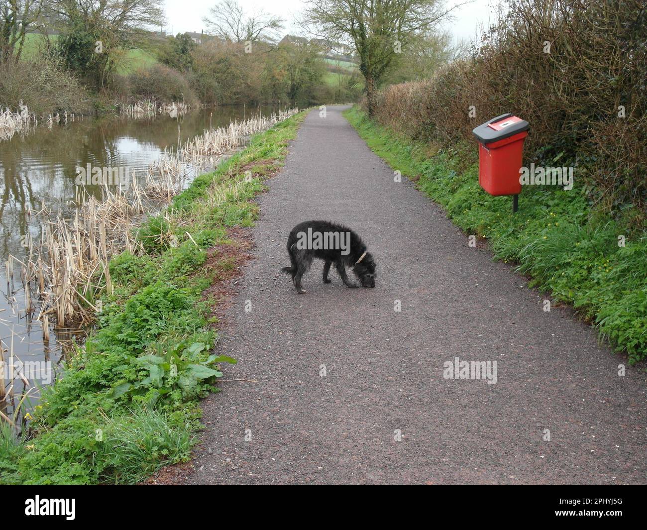 Dog waste poo collection bin on a canal towpath walk. Stock Photo