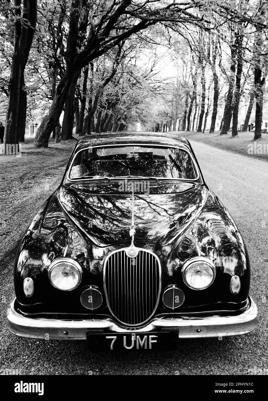 Scanned image of a classic Jaguar 3.4 litre saloon car produced in 1959, shot in Queens Park in Brighton, shot on film UK circa 1968 Stock Photo