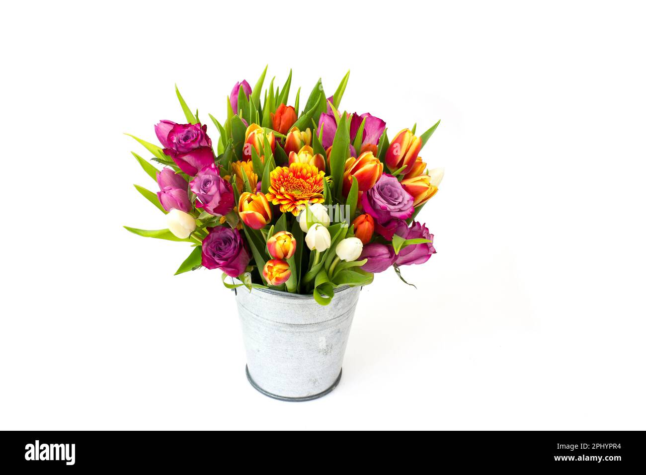 flowers in a bucket on white background Stock Photo - Alamy