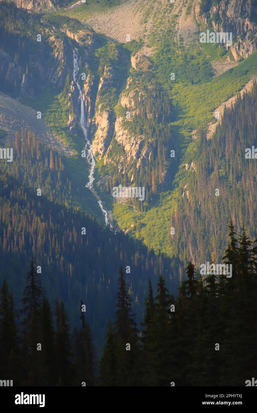 Here is Hermit Falls during golden hour-ish, as seen from Roger's Pass Memorial Park in BC. Stock Photo