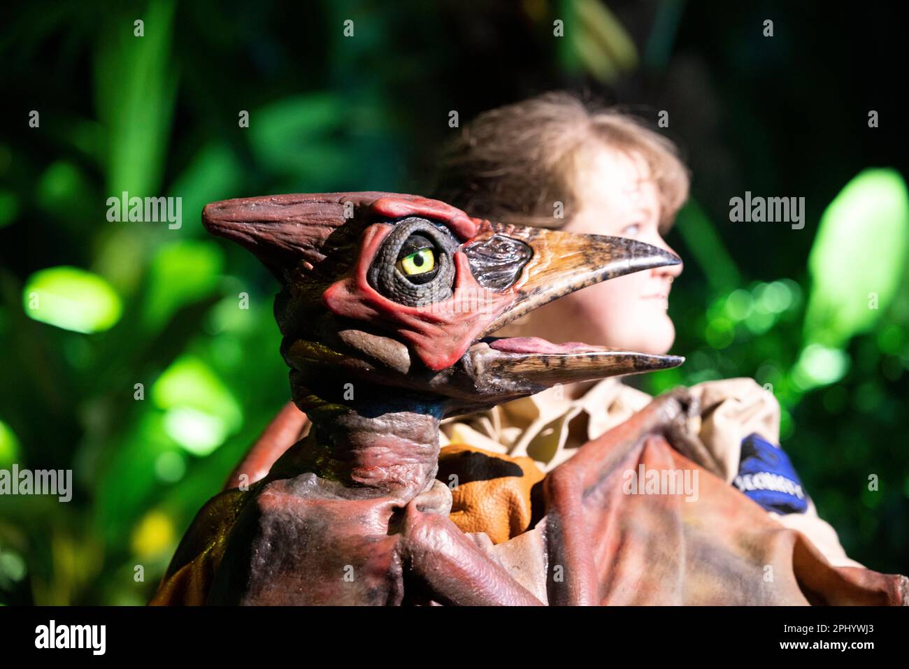 Cologne, Germany. 30th Mar, 2023. A pteranodon (winged and toothless ...