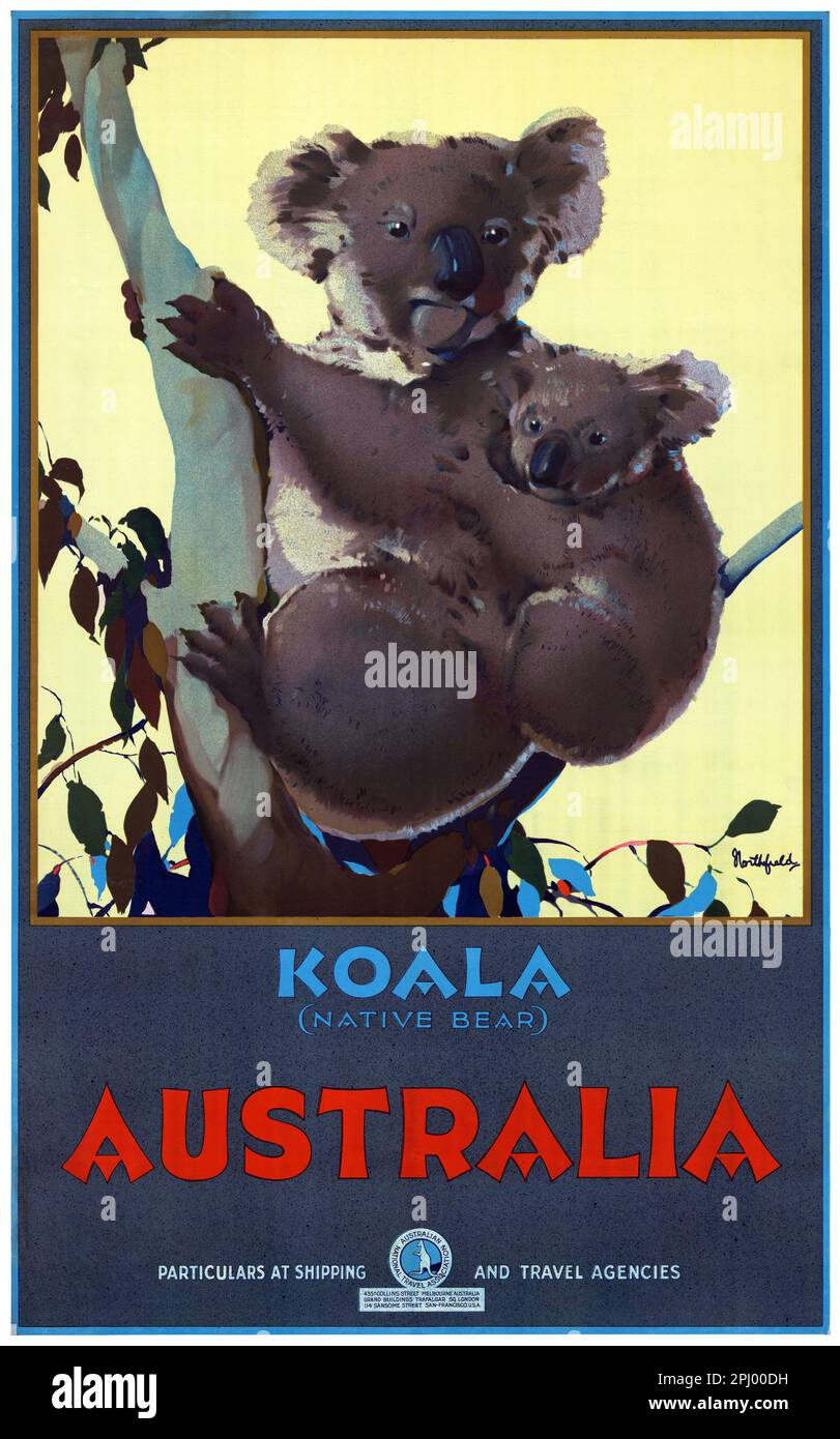 Koala. Australia. Particulars at shipping and travel agencies by James Northfield (1887-1973). Poster published in 1931. Stock Photo