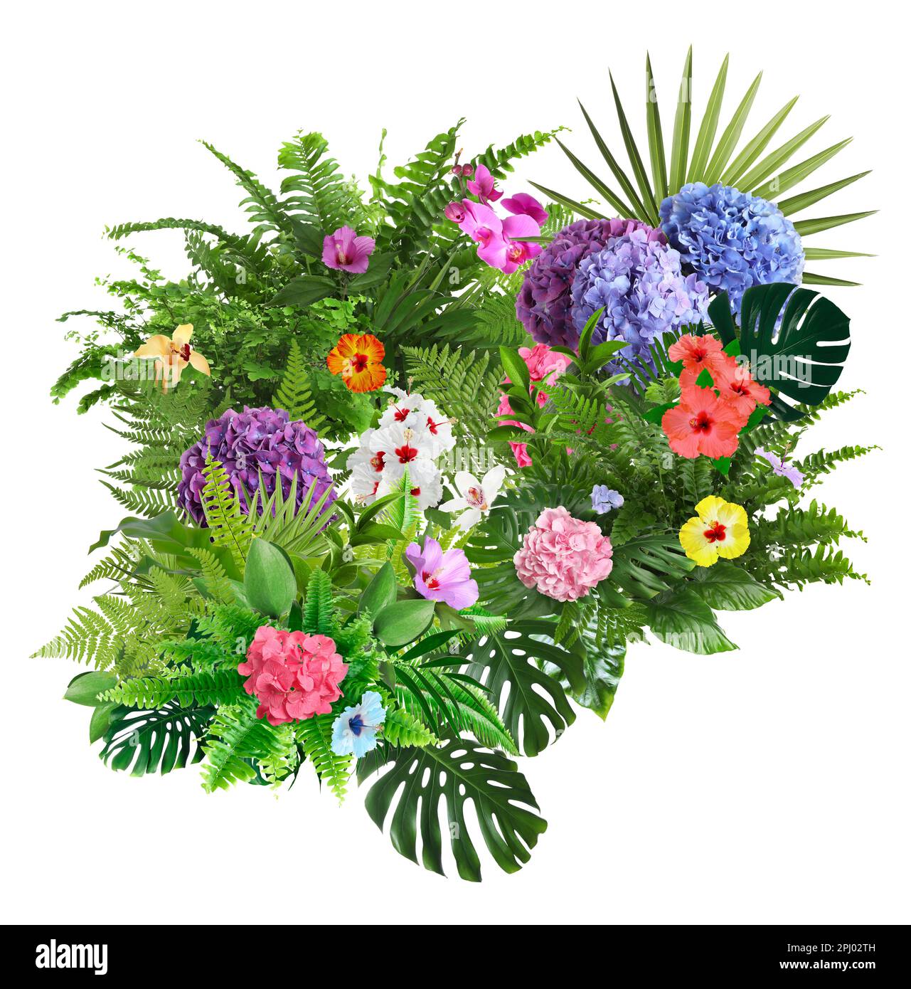 Beautiful composition with tropical leaves and flowers on white ...