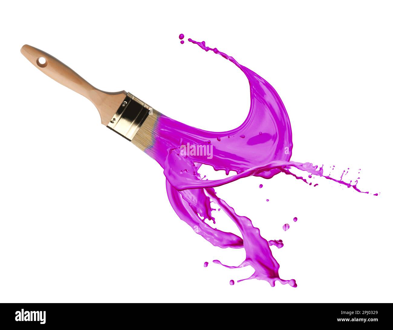 Brush and splashing purple paint on white background Stock Photo Alamy