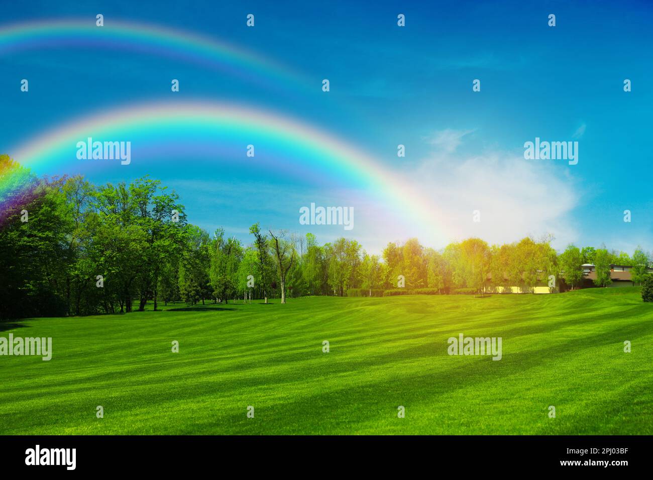 Picturesque view of green meadow and beautiful rainbows in blue sky on