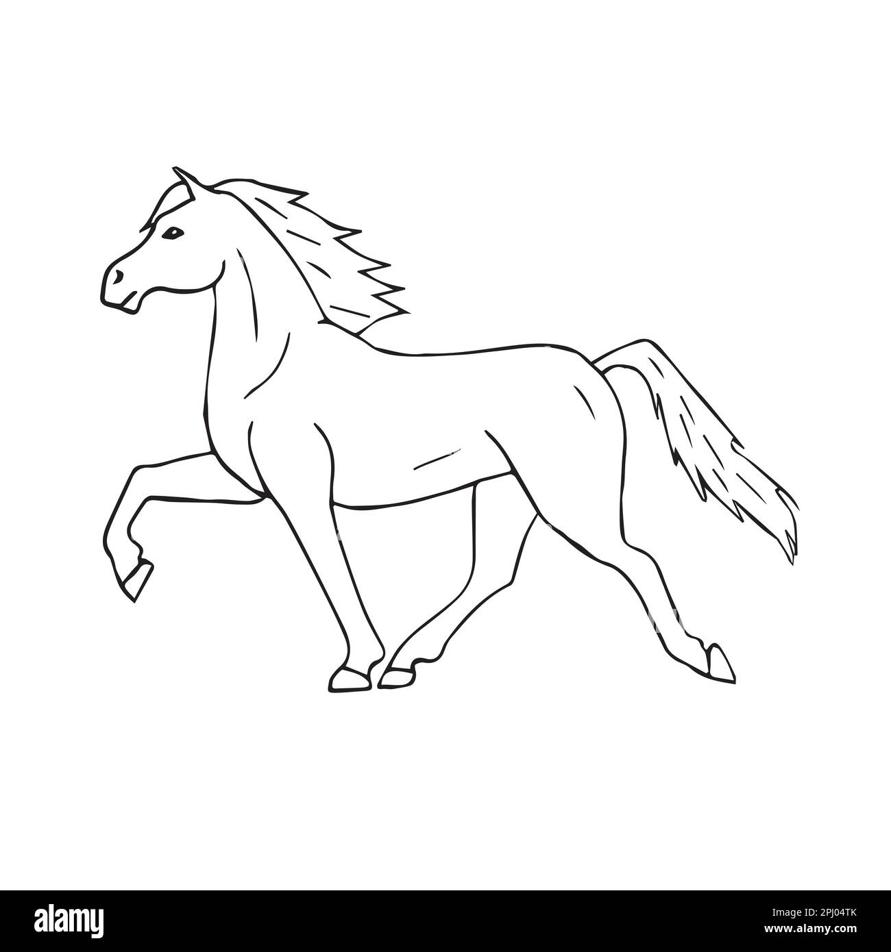 Vector hand drawn doodle sketch Iceland horse isolated on white ...