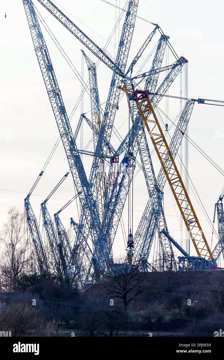 Construction cranes and jibs in different shapes Factory premises of the Liebherr plant in