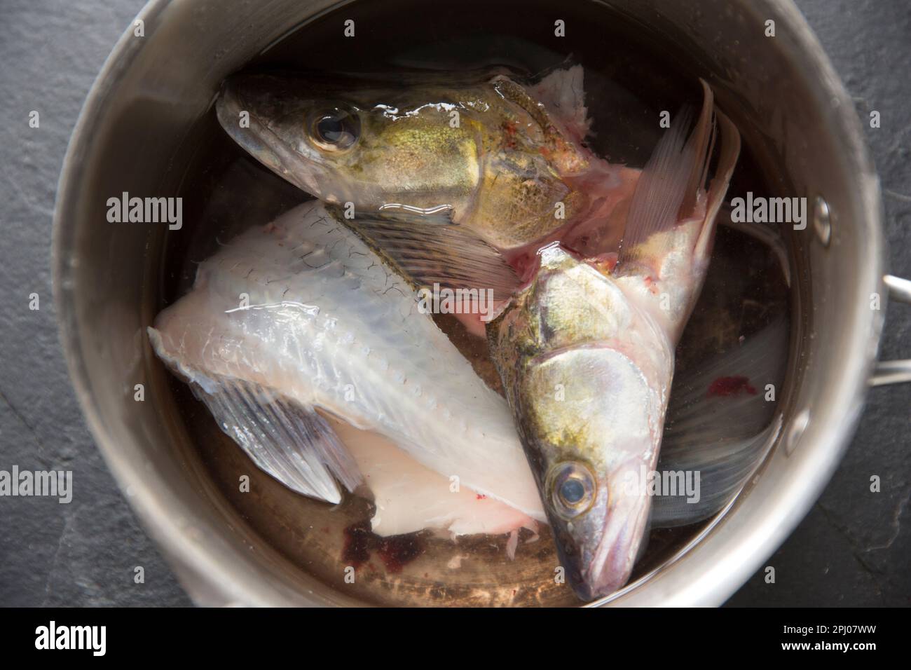Zander heads and frames that will be boiled to make stock for a zander