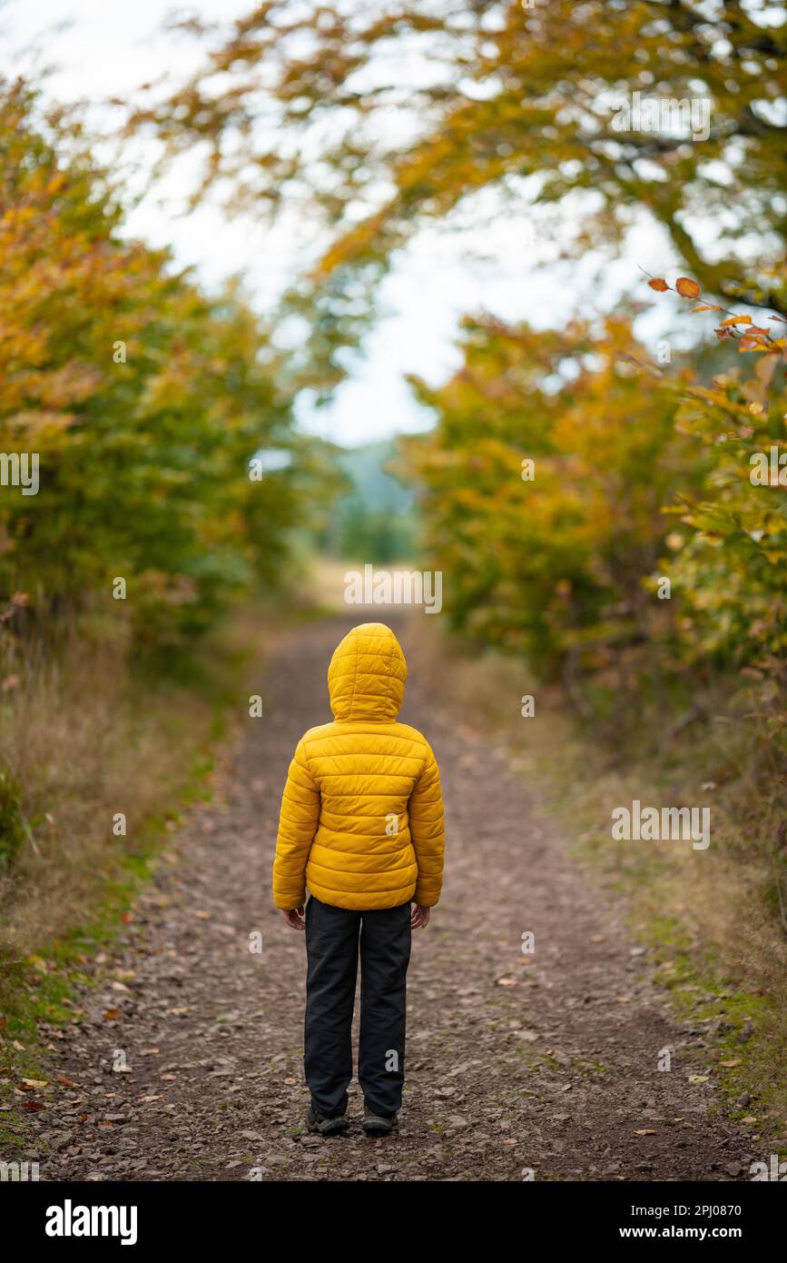 A little boy stands with his hands down in the middle of the path. Fall colors. Polish mountains Stock Photo