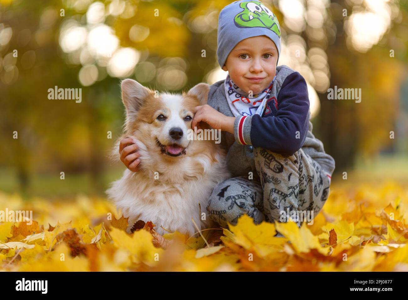Friends, baby and dog are sitting together in beautiful golden leaves. Autumn in the park. A seven-year-old boy, Poland, Europe Stock Photo