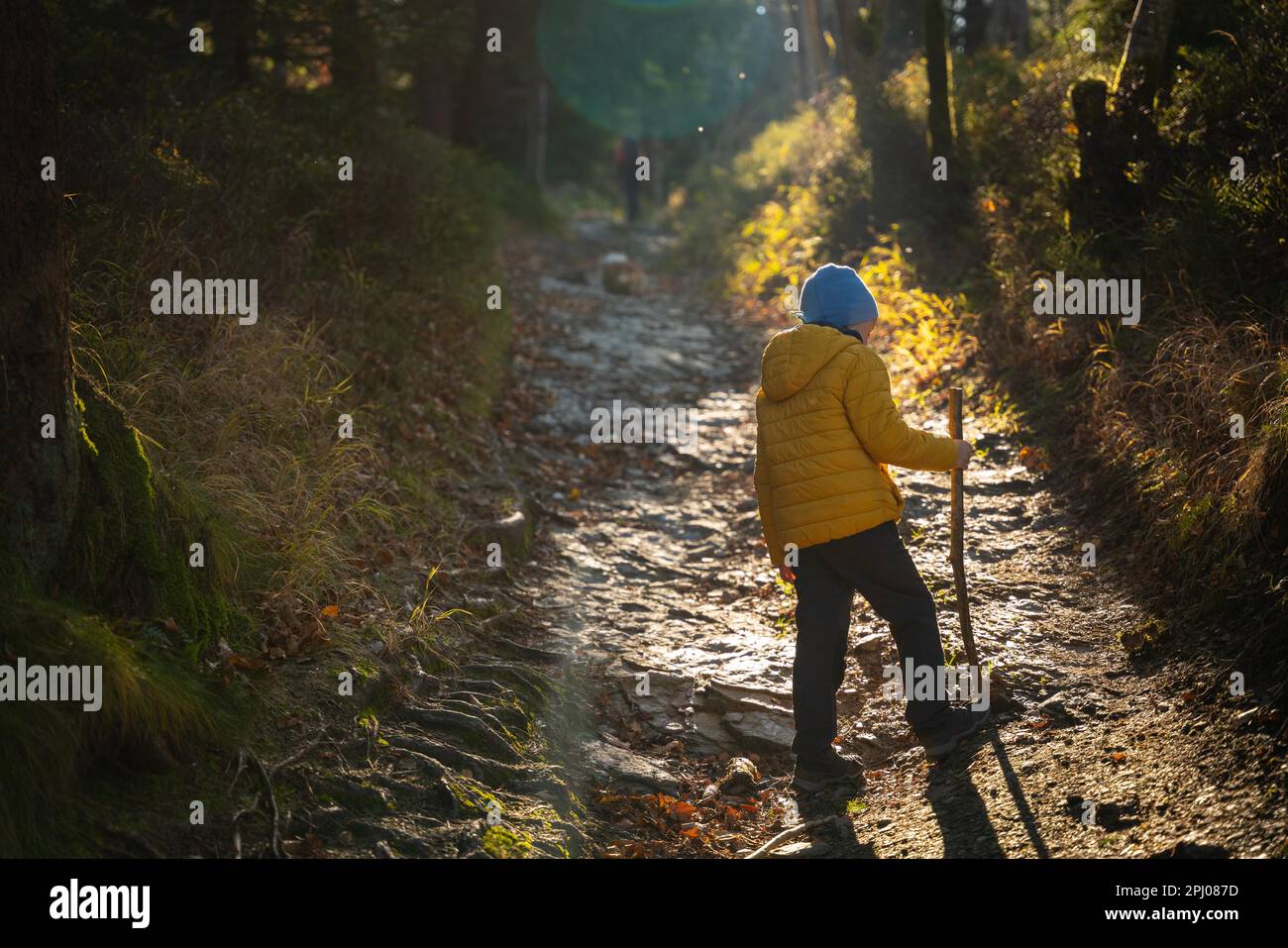 The little kid is walking the mountain trail. Fall season, Poland, Europe Stock Photo