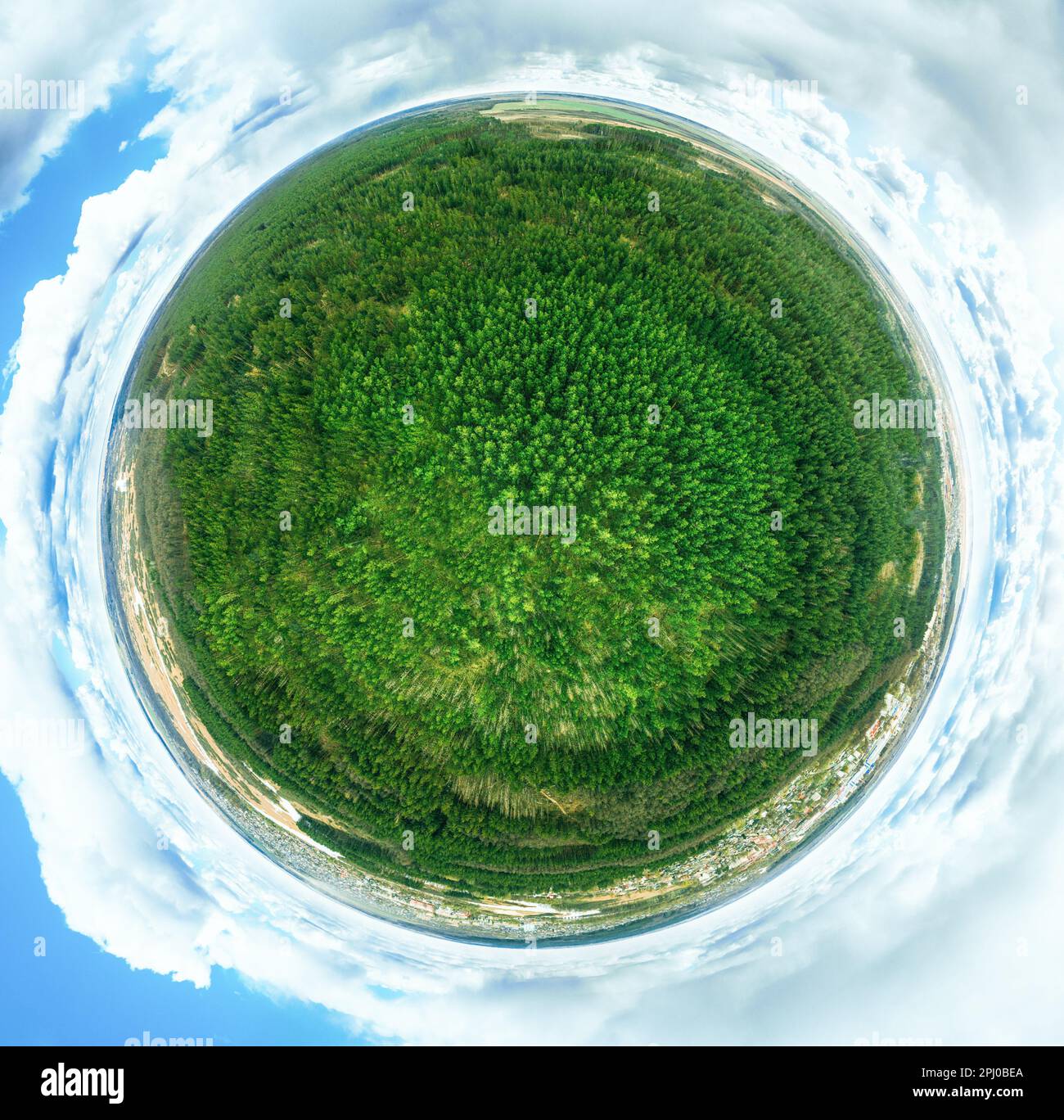 Aerial view thick coniferous forest hi-res stock photography and images ...