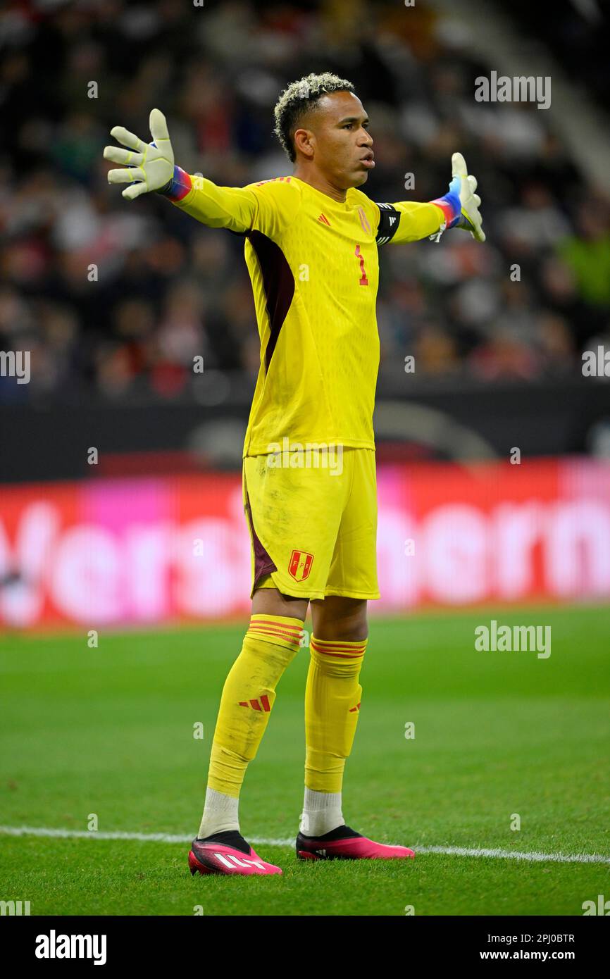 Goalkeeper Pedro Gallese PER gesture, gestures, international match, MEWA Arena, Mainz, Rhineland-Palatinate, Germany Stock Photo