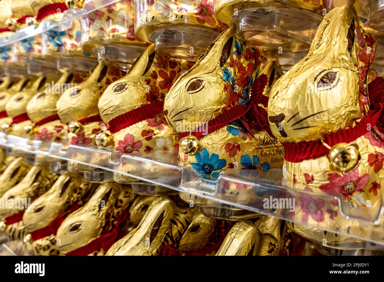Many chocolate Easter bunnies, chocolate bunnies, Lindt gold bunnies