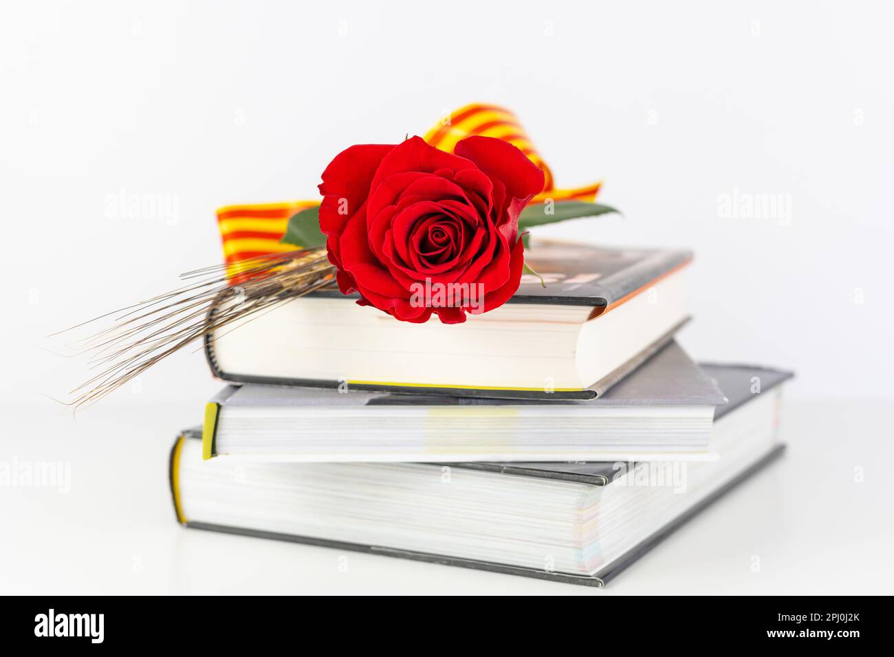 Close up red rose and ear of wheat on stack of books for Diada de Sant Jordi. Tradition of St Jordi Day in Catalonia. Catalan book and rose flower day Stock Photo