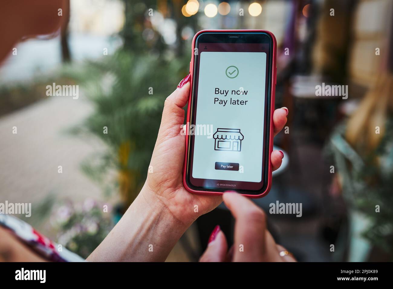 Buy Now, Pay Later (BNPL) Services in Online Shopping