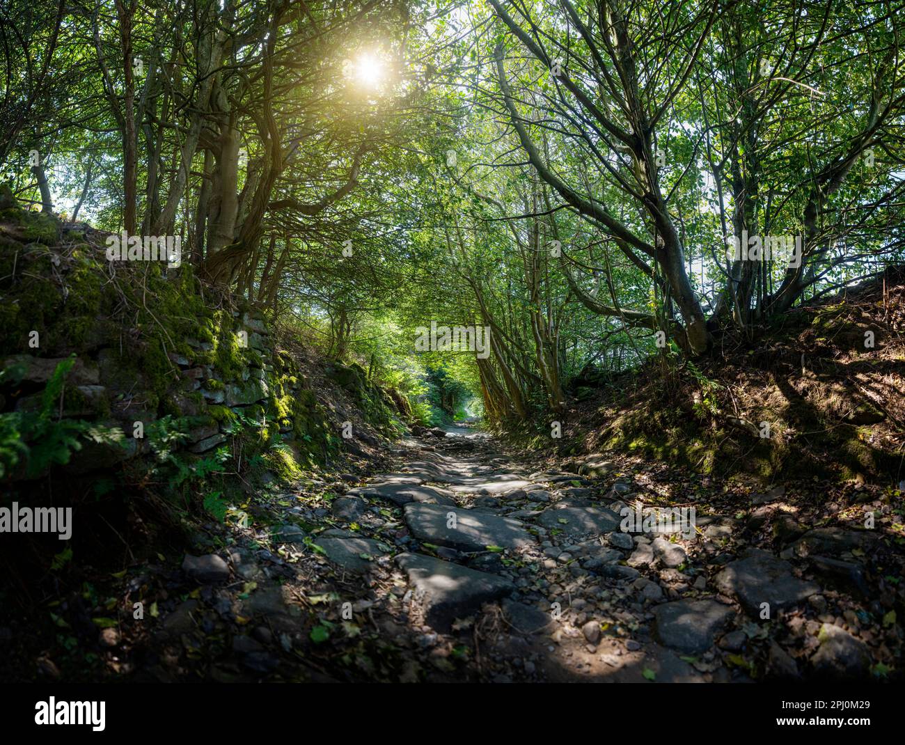 An old pathway down from Scout Rock in Mytholmroyd, Calderdale, West Yorkshire, England. A summer walk through this part of the Pennine hills. Stock Photo