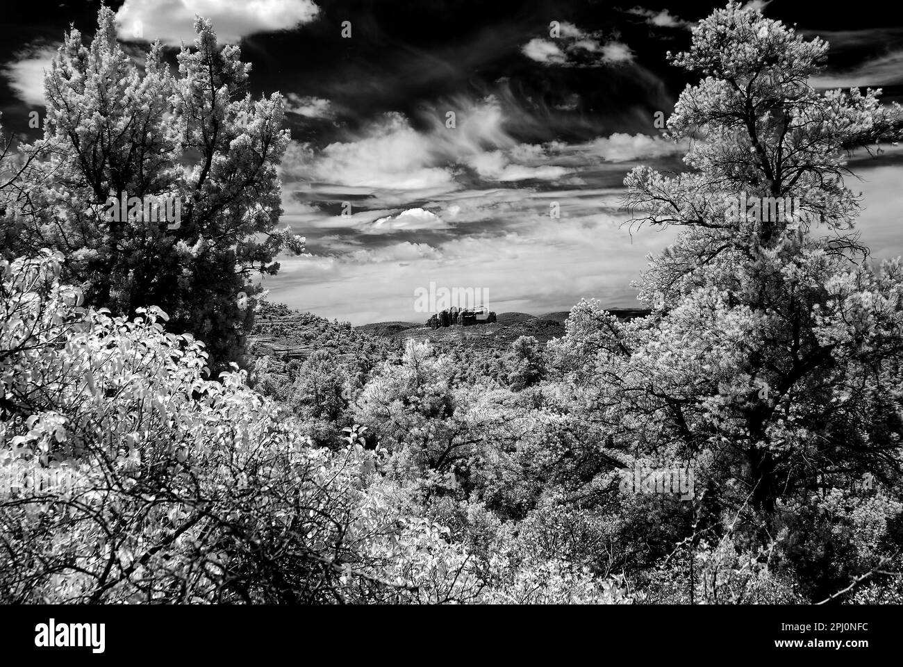 Infrared Black and white country mountains surrounding Sedona Arizona