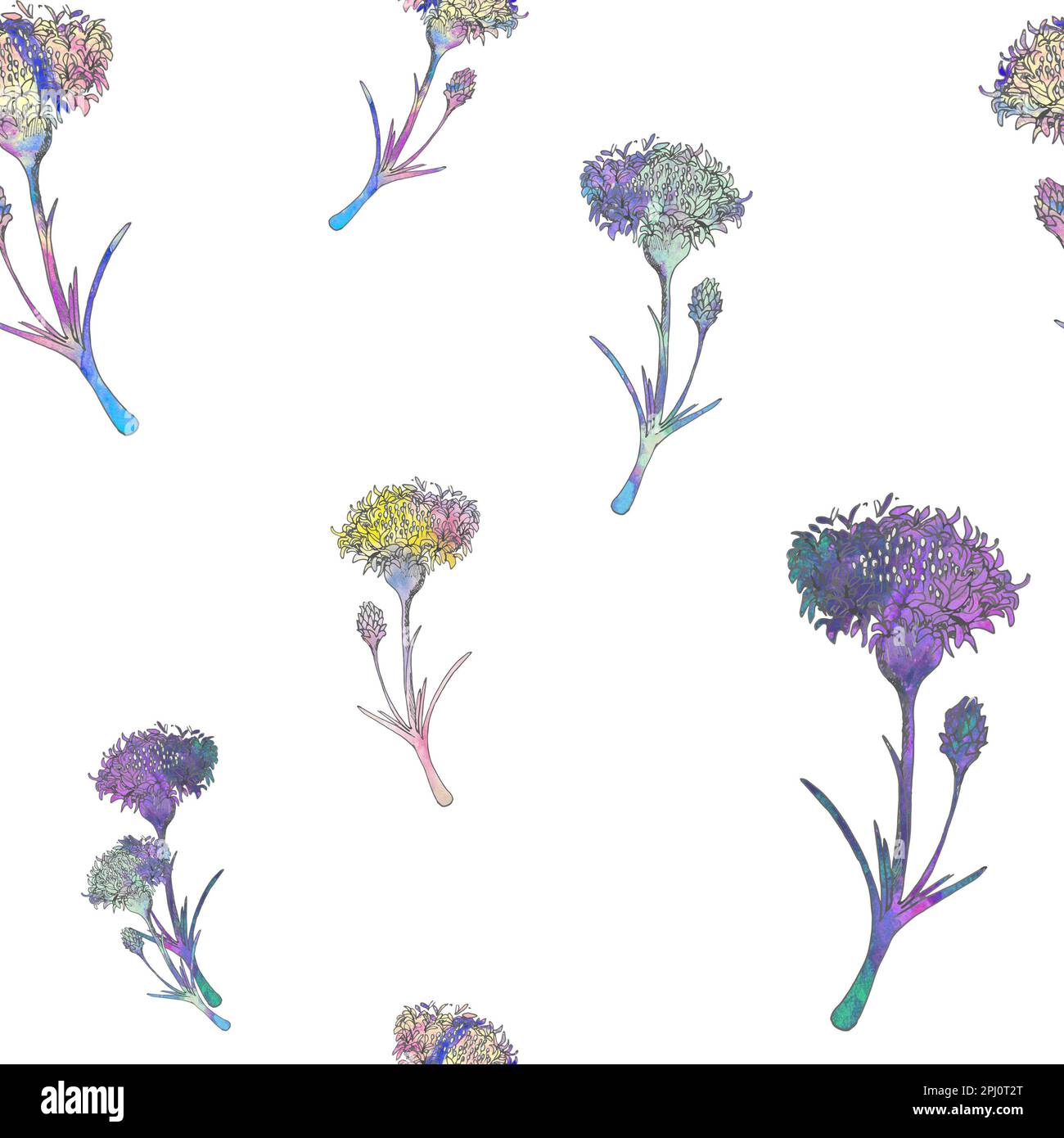Flowers with watercolor texture. Watercolor field flowers. Flowers pattern on white background. Stock Photo