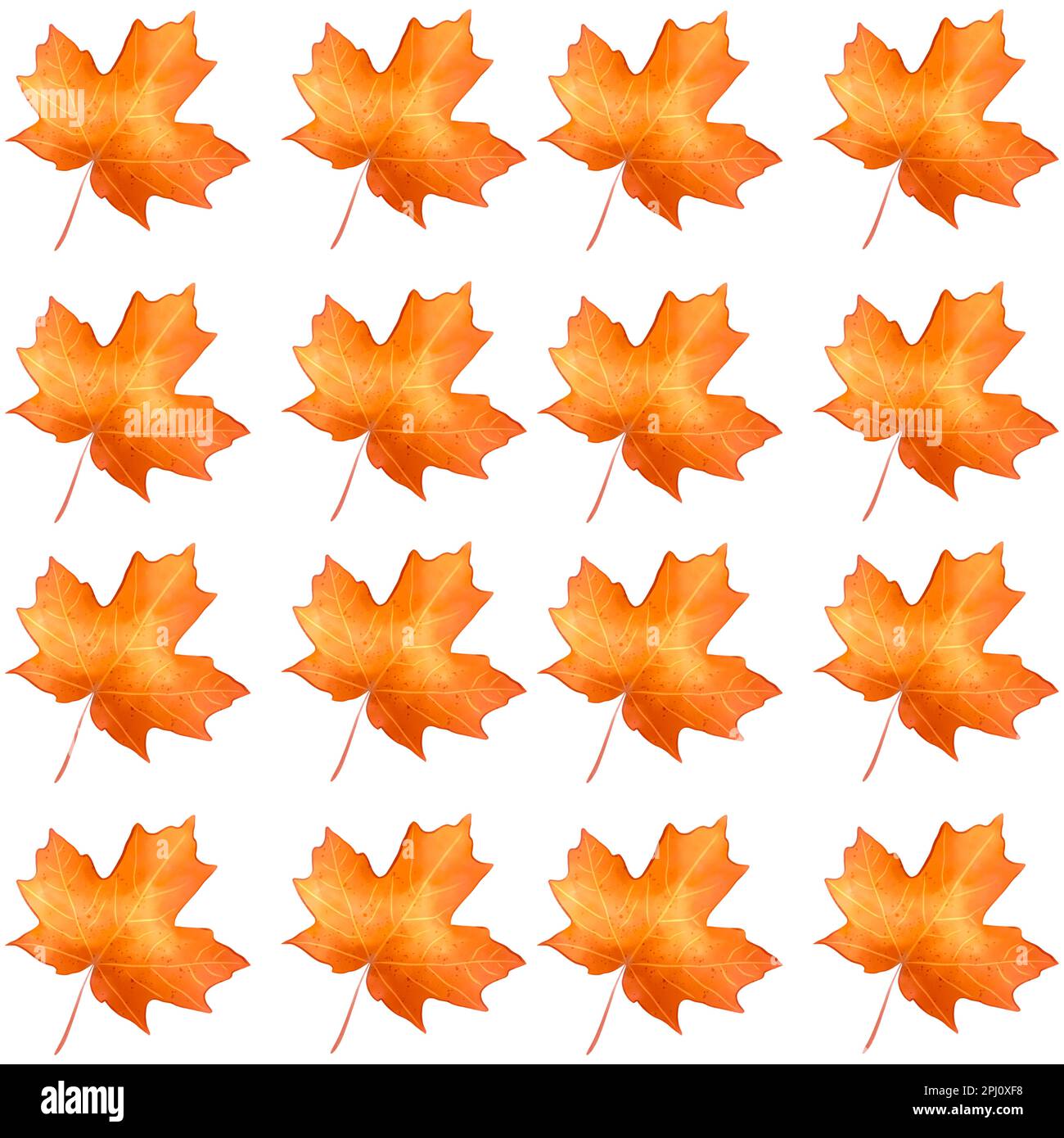 Watercolor maple leaf hi-res stock photography and images - Alamy