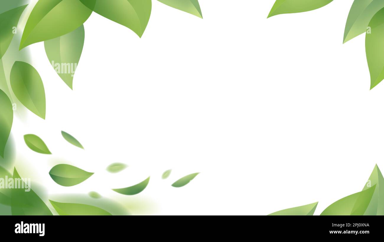 Green leaves in motion design. Fresh flying foliage in the wind isolated on a white background. Vector illustration. Stock Vector