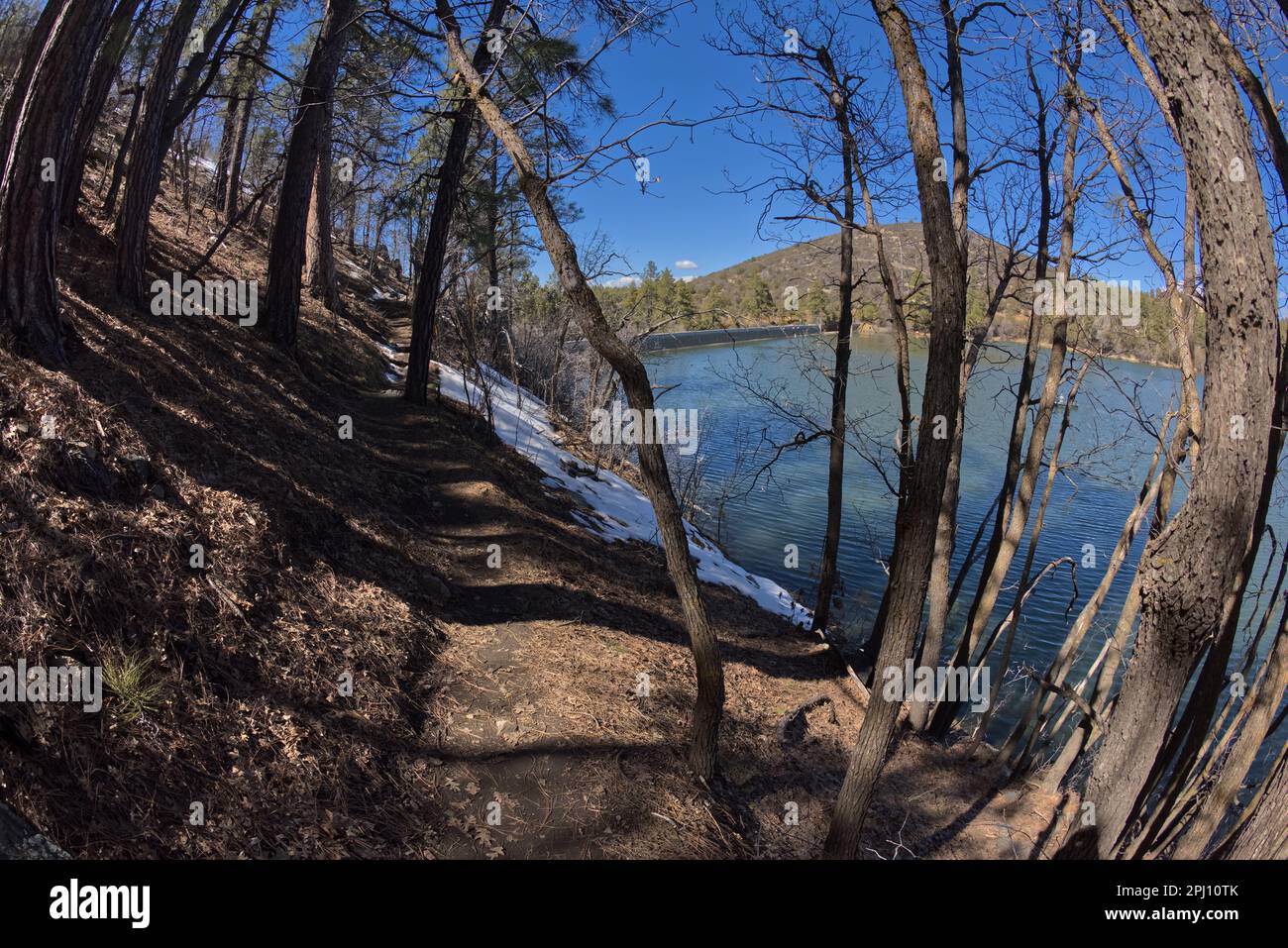 The loop trail on the south shore slope of Upper Goldwater Lake in