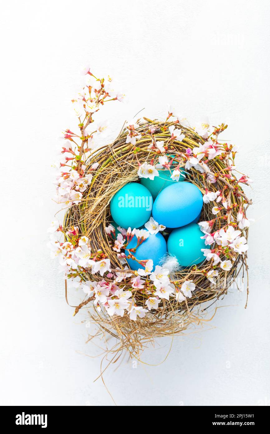 Happy Easter - nest with Easter eggs and cherry branch on white background with copy space. Stock Photo