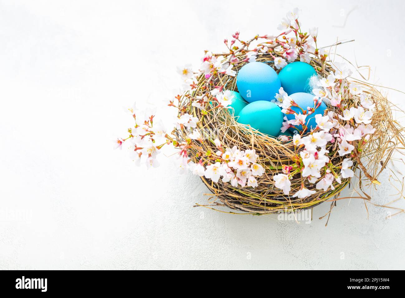 Happy Easter - nest with Easter eggs and cherry branch on white background with copy space. Stock Photo