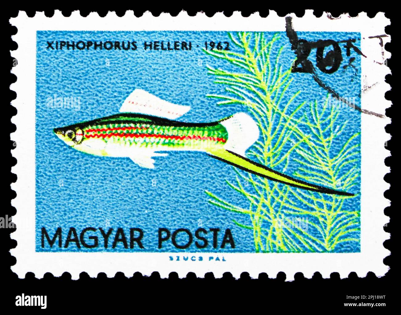 MOSCOW, RUSSIA - MARCH 25, 2023: Postage stamp printed in Hungary shows Green Swordtail (Xiphophorus helleri), Tropical Fish serie, circa 1962 Stock Photo