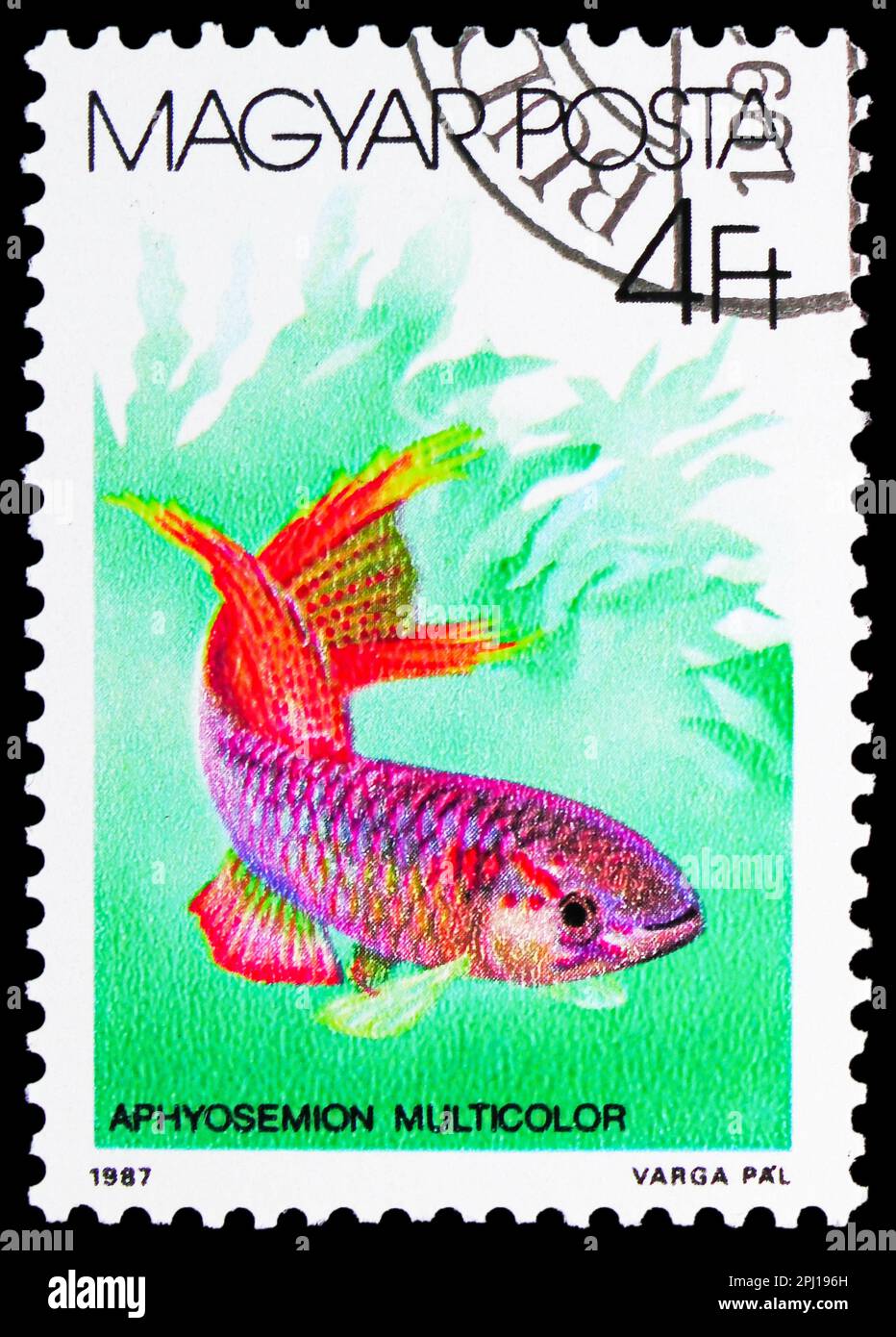 MOSCOW, RUSSIA - MARCH 25, 2023: Postage stamp printed in Hungary shows Splendid Killifish (Aphyosemion multicolor), Fishes (1987) serie, circa 1987 Stock Photo