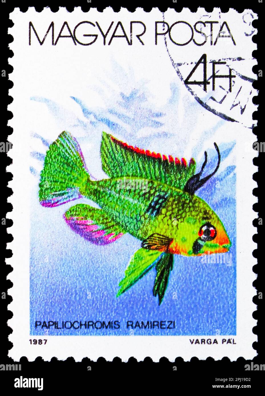 MOSCOW, RUSSIA - MARCH 25, 2023: Postage stamp printed in Hungary shows Ram (Papiliochromis ramirezi), Fishes (1987) serie, circa 1987 Stock Photo
