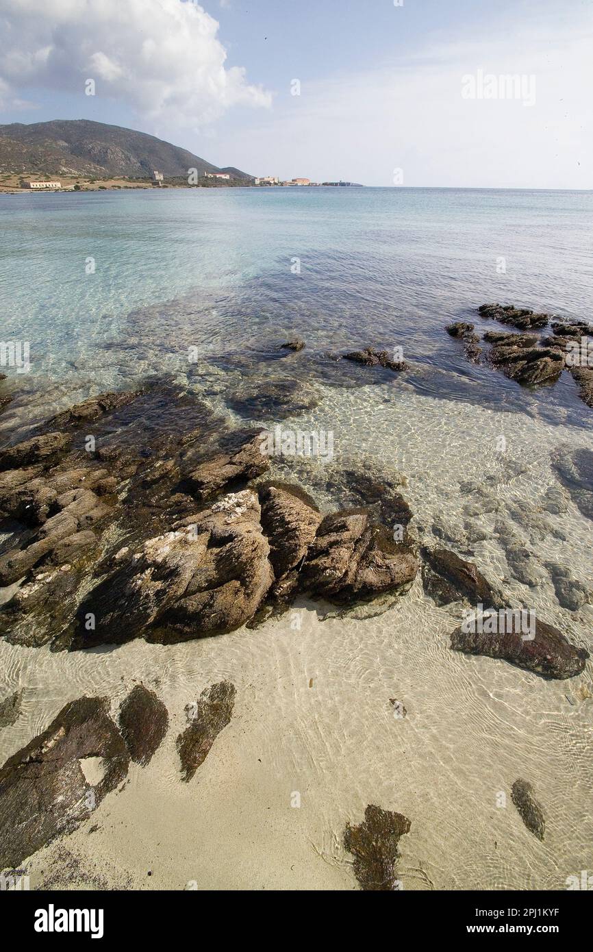 Spiaggia presso Cala Reale. Isola dell'Asinara. Sassari, Sardegna. Italia Stock Photo