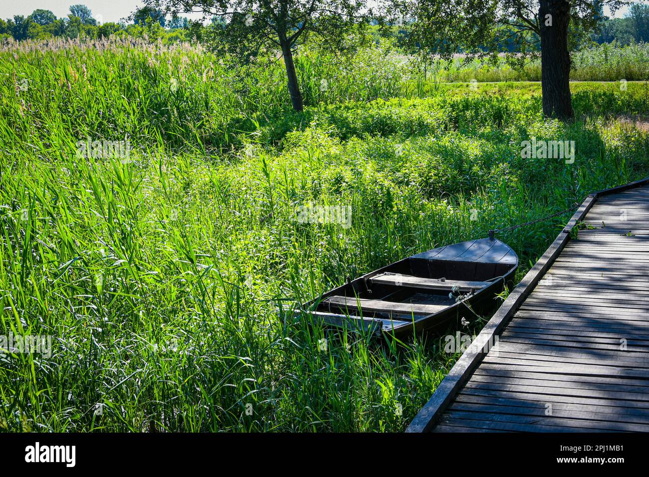 Boat tied to tree hi-res stock photography and images - Alamy