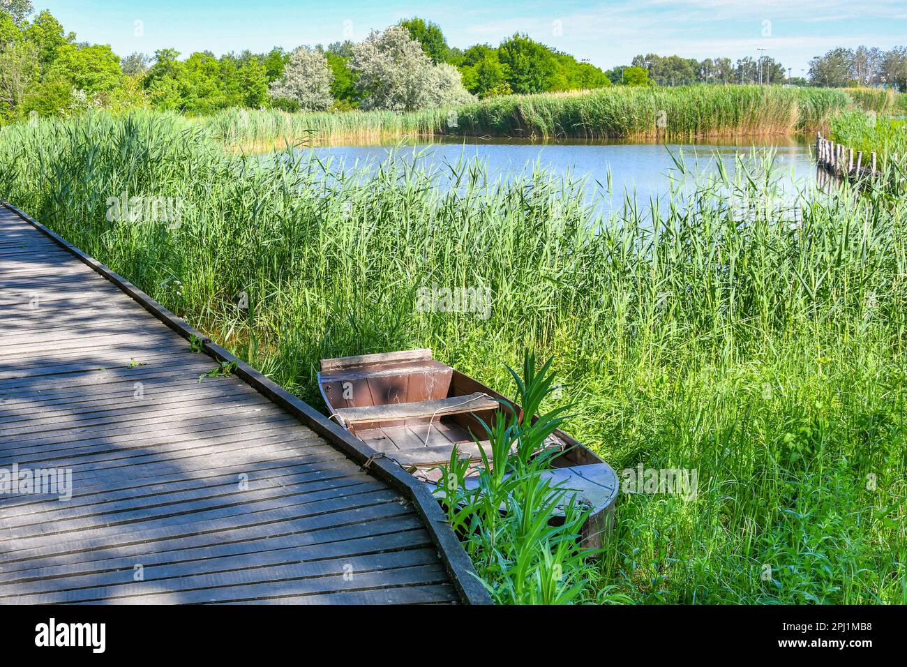Boat tied to a wooden pier in green reeds Stock Photo - Alamy