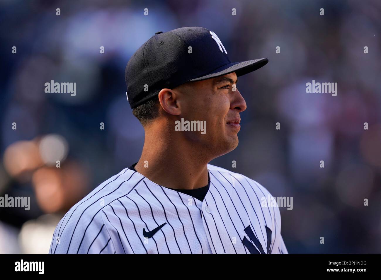 New York Yankees' Anthony Volpe walks back on the field for an interview  after the baseball game against the San Francisco Giants at Yankee Stadium  Thursday, March 30, 2023, in New York.