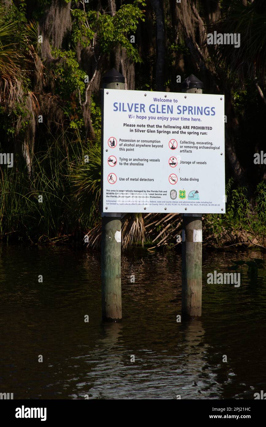 Silver Glen Springs water entrance Stock Photo